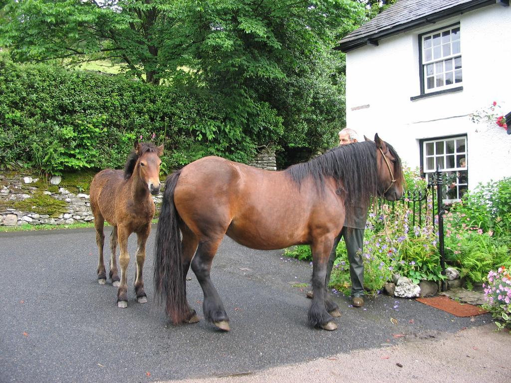 High Fold Guest House Troutbeck  Esterno foto