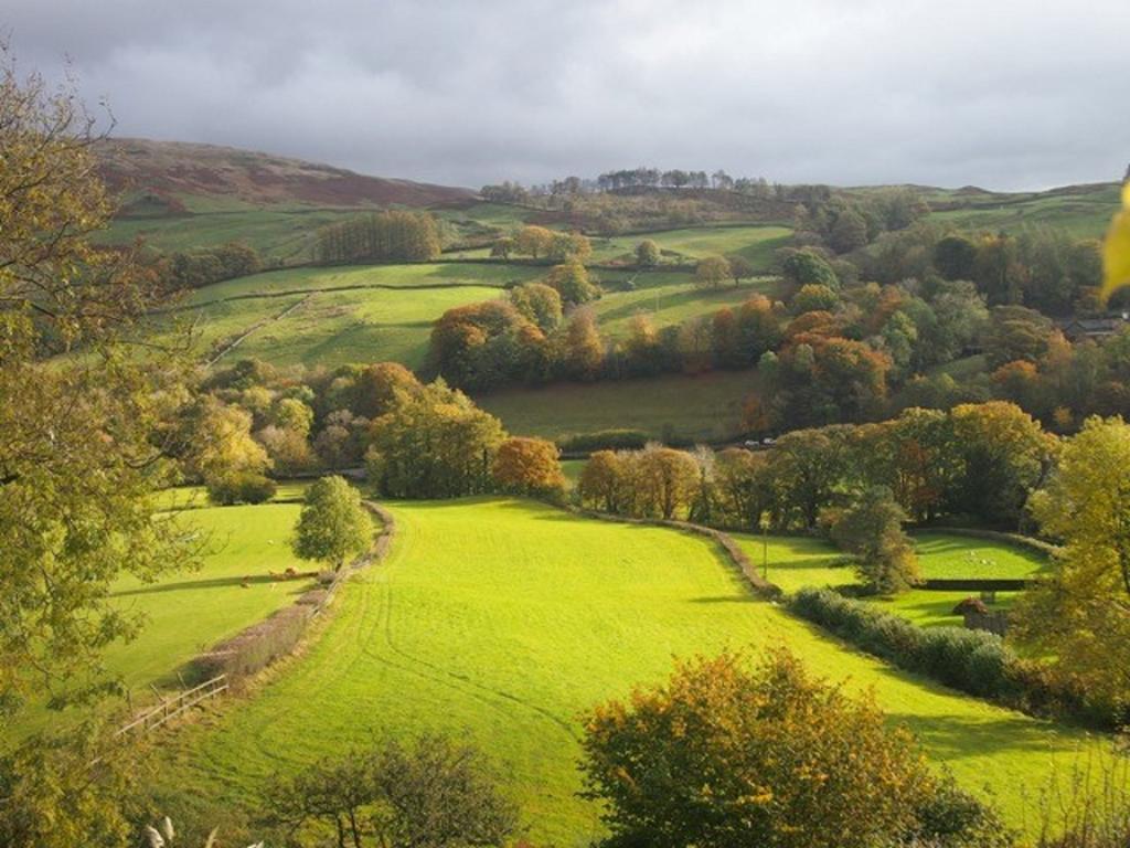 High Fold Guest House Troutbeck  Esterno foto