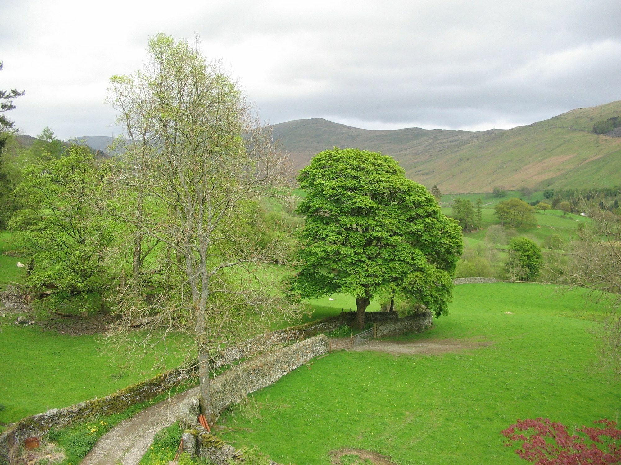 High Fold Guest House Troutbeck  Esterno foto
