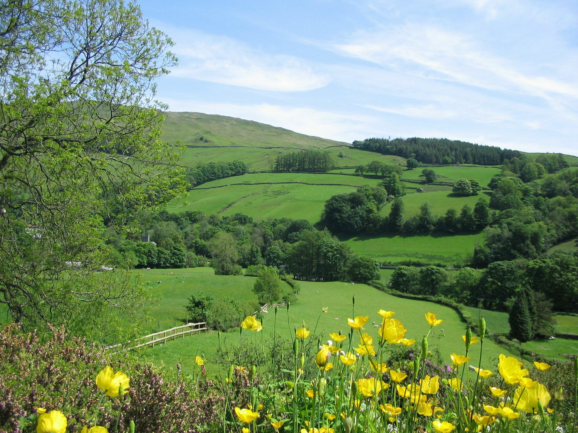 High Fold Guest House Troutbeck  Esterno foto