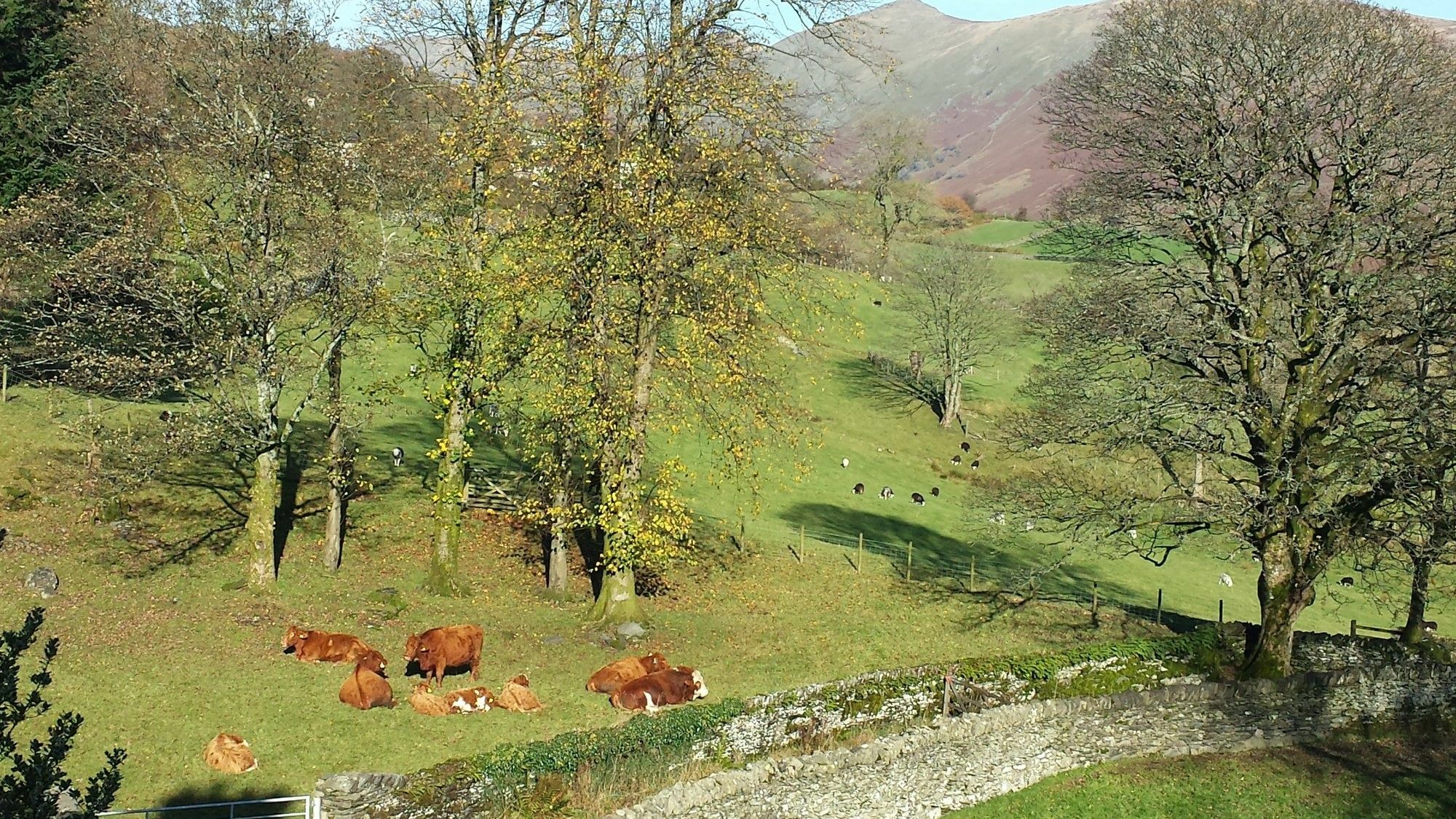 High Fold Guest House Troutbeck  Esterno foto