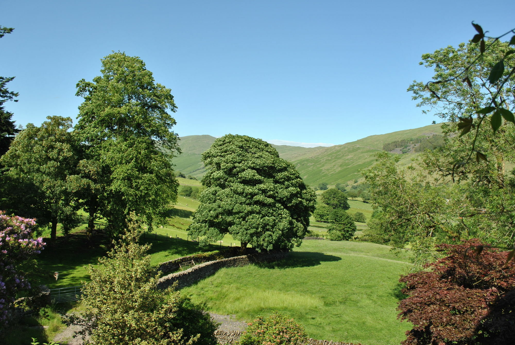 High Fold Guest House Troutbeck  Esterno foto